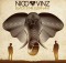 Cover art of "Black Star Elephant" by Nico & Vinz